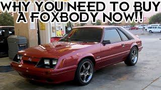 Top 5 Reasons You Need to Buy a Foxbody Mustang in 2021