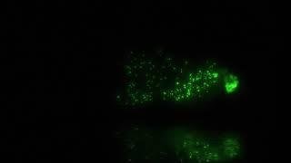 green smoke effect intro