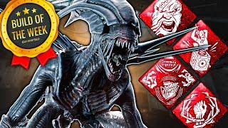 ACIDIC EMBRACE XENOMORPH BUILD! - DBD Build Of The Week