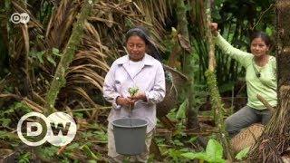 Ecuador: Feast à la Amazon | DW English