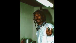 [FREE] Snoop Dogg x Dr Dre x Warren G Type Beat / 90s G-funk West Coast Type Beat 2023