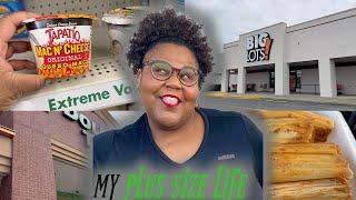 A DAY IN MY PLUS SIZE MOM LIFE| big lots, dollar general and more