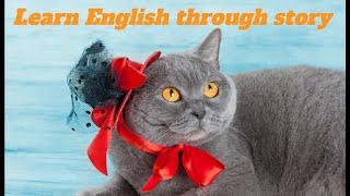 Learn English through story, English Story - The Secret Lives of Cats: From Ancient Guardians