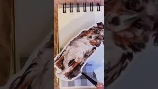 Mini Journaling #shorts #minijournal #pets