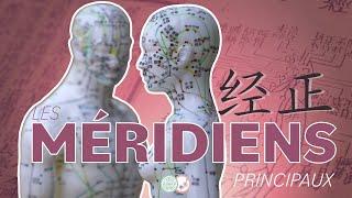 #8 - Les MÉRIDIENS PRINCIPAUX - Médecine Traditionnelle Chinoise