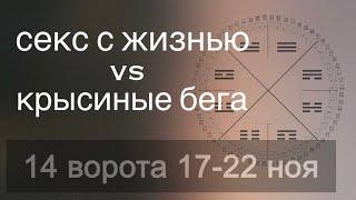 Деньги, энергия, творчество. 17-22 ноября. 14 ворота дизайн человека