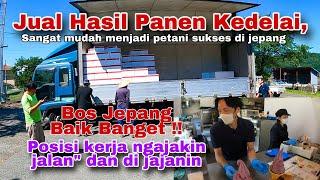 Kebaikan Bos Jepang , Jual hasil Panen Langsung Ngajakin Bermantap-mantapan