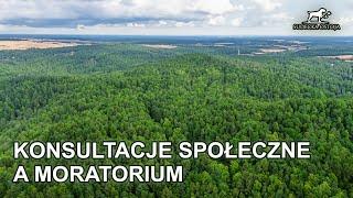 Konsultacje społeczne w sprawie moratorium - Lasy Państwowe