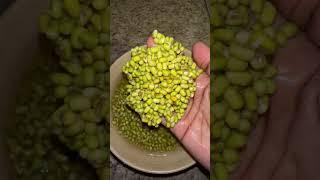 How to Make Sprouts at Home#food #cooking #cookingshorts #shorts #youtubeshorts #shortsfeed