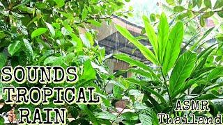 ASMR SOUNDS of TROPICAL rain Thailand