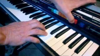 Organo Combo Teclado Welson Gipsy