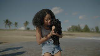 Puppies First Day At the Beach | C70 Raw | Dehancer