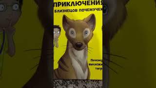 Обзор книги,,ПРИКЛЮЧЕНИЕ БЛИЗНЕЦОВ