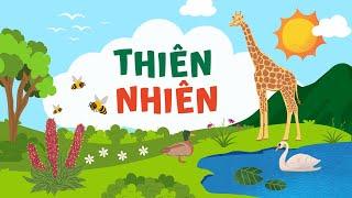 Dạy bé học tiếng Anh: Khám Phá Thiên nhiên kỳ thú (Nature) | Rừng, Núi, Sông, Hồ, Cây Cỏ, Mặt Trời