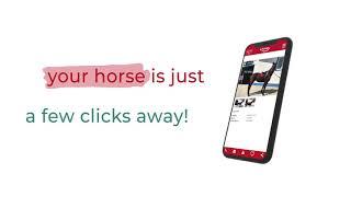 ehorses - how it works - selling & buying horses online