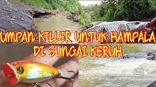 CASTING HAMPALA DI SUNGAI KERUH umpan popper || terbukti killer