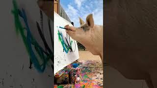 смешные животные | свинья рисует картины | pig painting pictures | cerdo pintura fotos #ржака #ржач