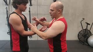 Internal Wing Chun Exposed Series Part 3 Structure of Snake and Crane in Wing Chun