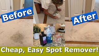 DIY carpet stain remover - for pennies!  Works QUICK on set in stains! |  LIVING GRATEFULLY YOUTUBE