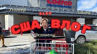 VLOG Американская школа / сдаю экзамены / Закупка в Costco / Американская жизнь /  Мои Хобби  / США