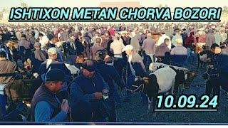 SAMARQAND V ISHTIXON TUMANI METAN CHORVA BOZORIDAN NARXLAR 10.09.24 ELYOR UZ  901998090