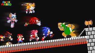 What if All Sonic the Hedgehog Characters Fight BOWSER?