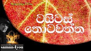 Saman4You - Prog 157 - ටයිටස් තොටවත්තගෙ රස කතා | Titus Thotawatte