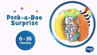 Peek-a-Boo Surprise | Demo Video | VTech