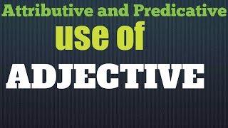 Attributive and predicative use of adjectives || English grammar for competitive exams