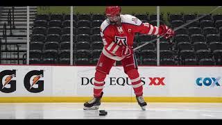 Arizona Wildcat Hockey on-ice POV