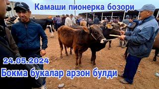 Камаши пионерка мол бозори нархлари 24.05.2024й