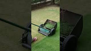 Manual reel mower with grass catcher used to mow lawn #shorts | Lawn Care and Gardening
