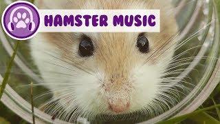 Music for hamsters! Chill out your hamster!