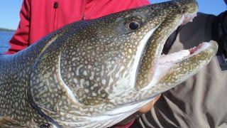 Lake Trout Jigging Techniques That Guides Don't Want You to Know!