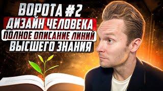 Ворота №2 Высшего знания в Дизайне Человека | Полное описание линий