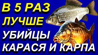 Донный Монтаж для Ловли Карпа и Карася на Озере, Оснастка Донной Снасти для Ловли Весной, Летом