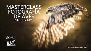 LA FOTOGRAFÍA DE AVES 2023 - Masterclass de Cristian Larrere para Rayados por las Fotos