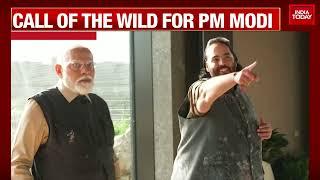 PM Modi Visits Vantara Animal Rescue Centre In Gujarat On World Wildlife Day | India Today News