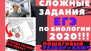 ЕГЭ по Биологии 2020 / Разбор РЕАЛЬНЫХ заданий ЕГЭ