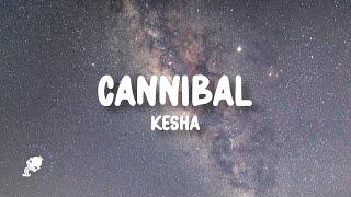 Kesha - Cannibal (Lyrics)