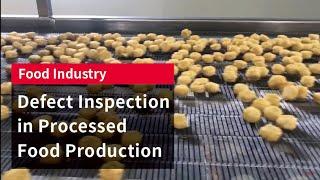 Processed Food Inspection Using AI | SolVision