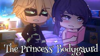 MLB Future AU GL2MM |Princess' Bodygaurd| (Marichat)