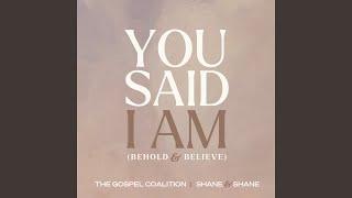 You Said I Am (Behold and Believe) (feat. Shane & Shane)