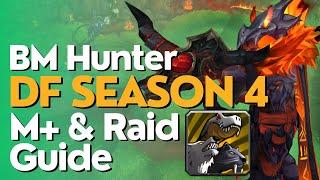 Beast Mastery Hunter Season 4 Beginner Guide for Raid & M+ | Dragonflight 10.2.6