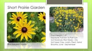 Plants for a Short Prairie Garden