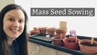 Seed Sowing March | Vegetable & Flower Seeds For The Allotment Garden