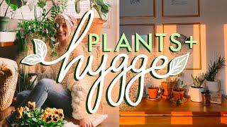 Hygge Home 7 Best Plants for Hygge Lifestyle