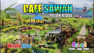 WISATA MURAH BATU MALANG || CAFE SAWAH PUJON KIDUL 2023