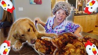 Dogs Steal Grandma's Christmas Turkey Dinner