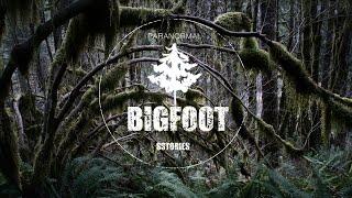 Man Abandons Wife Immediately After Encountering BIGFOOT | SASQUATCH ENCOUNTERS